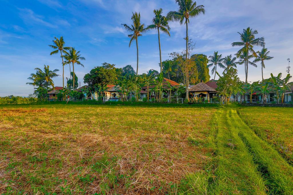 Villa Kaba Kaba Resort Canggu  Exterior photo