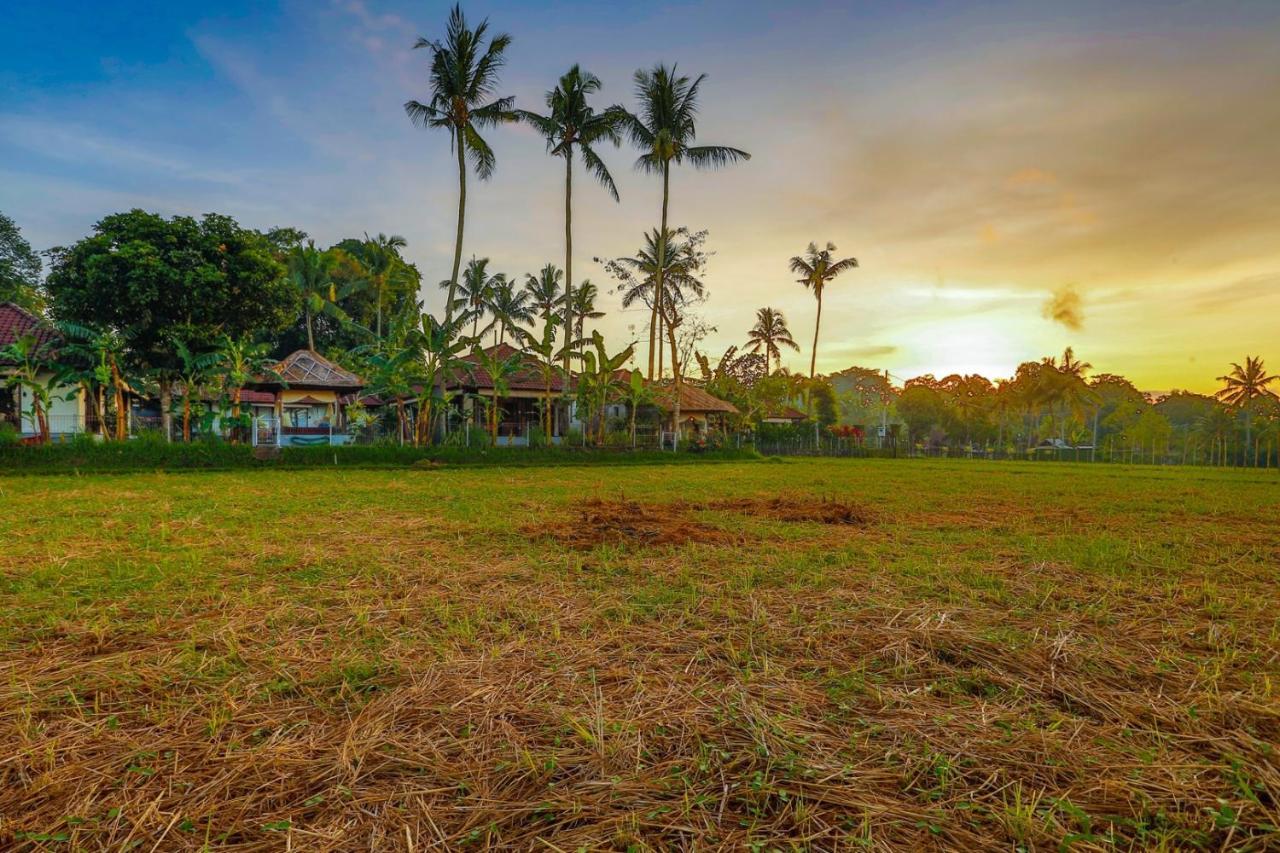 Villa Kaba Kaba Resort Canggu  Exterior photo